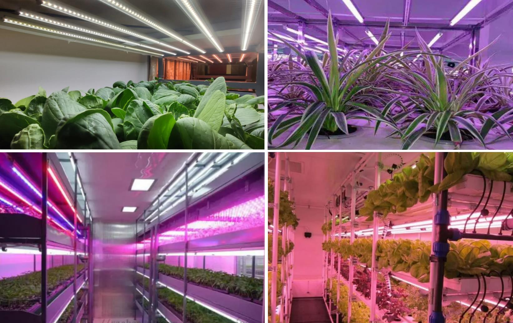 Considerations eligens IMPERVIUS duxit fistula Housings in planta luminatione